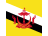 Brunei Darussalam Flaga