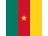 Camerun Bandiera