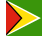 Guyana Flag