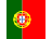 tags.pt template.flag
