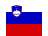 Slovénie Drapeau
