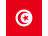 tags.tn template.flag
